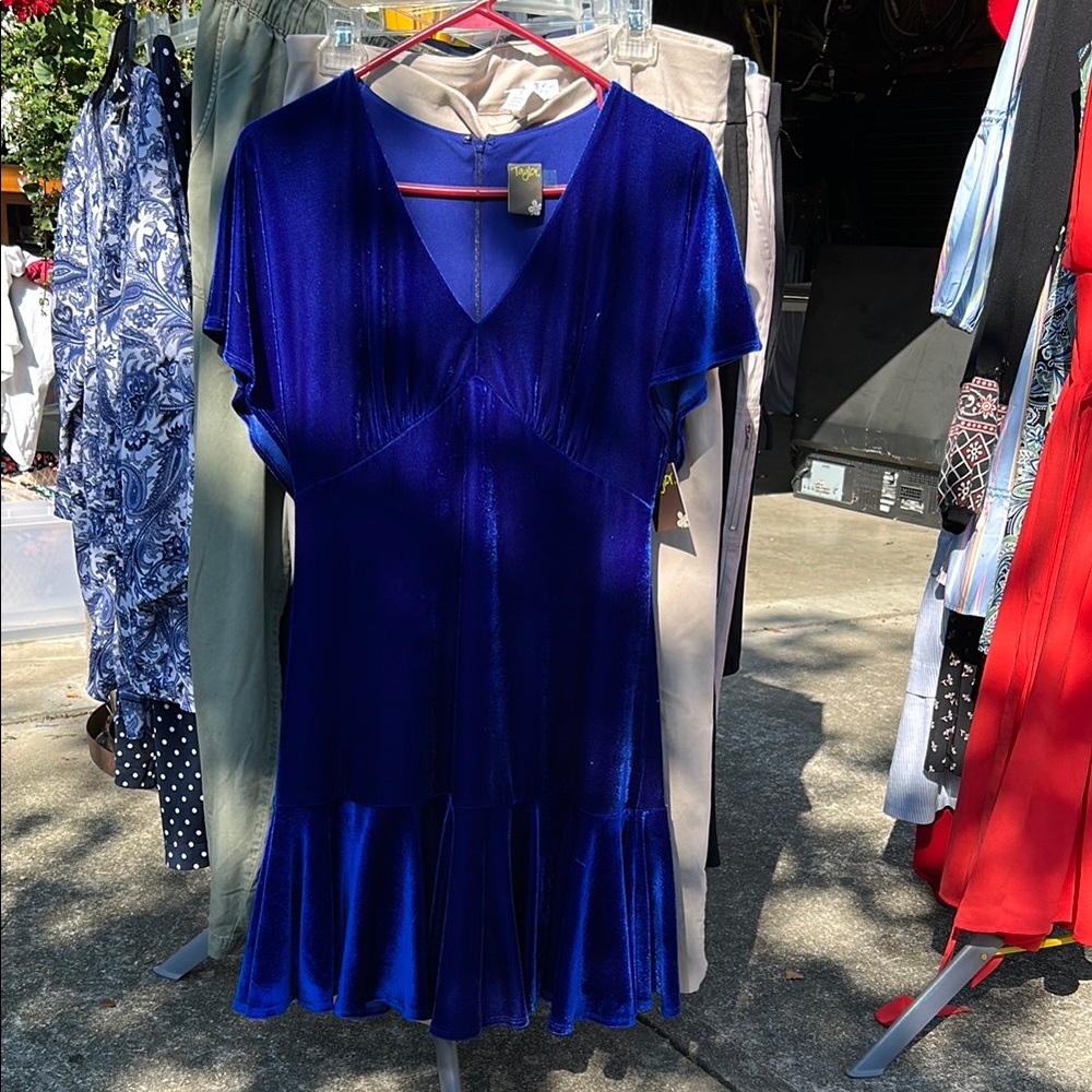 Taylor Dresses  Velvet Dress in Royal Blue